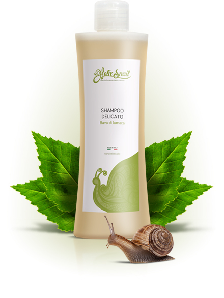 Shampoo